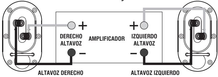Q-ACOUSTICS 1000I - Conexiones estandar - 2