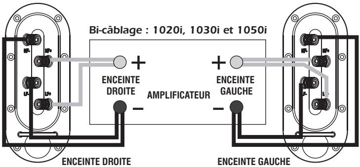 Q-ACOUSTICS 1000I - Bi-câblage - 1