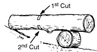 POULAN PRO PP4018 - BUCKING USING A LOG OR SUPPORT STAND - 2