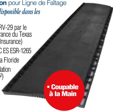 GAF RESIDENTIAL ROOFING FULL-LINE - PHILMONDE COUNTY 1980/01 - 1