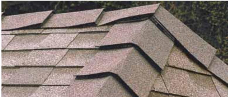 GAF RESIDENTIAL ROOFING FULL-LINE - Bardeau de Faïtage à Ventilation - 1