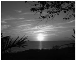 SEALIFE DC600 - À propos du Mode Espion - 1