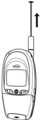 TRIUM SIRIUS - Extension de l'antenne - 1