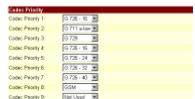 AIRLIVE VOIP-111A - Codec Settings - 1