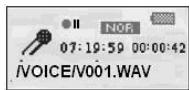 INVION WMA MP3 PLAYER WITH USB STICK - Registrazione - 3