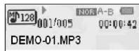INVION WMA MP3 PLAYER WITH USB STICK - Wiederholung - 2