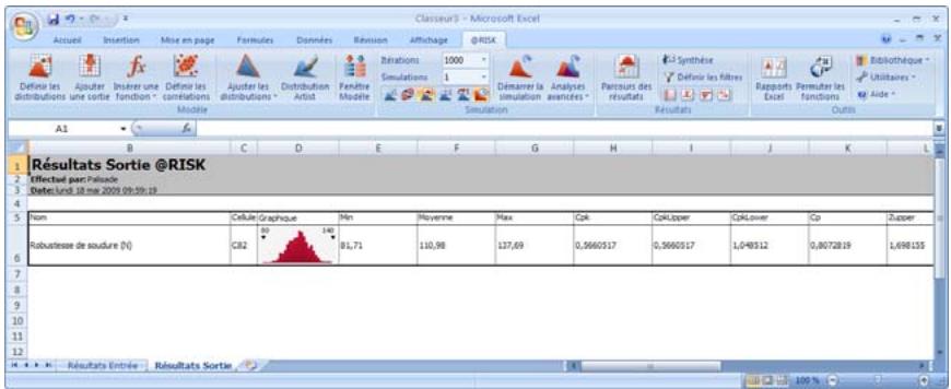 PALISADE RISK FOR SIX SIGMA 5.5 - Génération d'un rapport Excel - 1