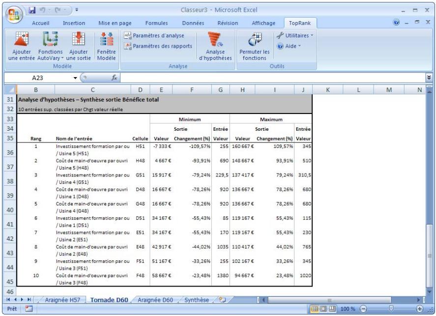 PALISADE TOPRANK 5.5 - Résultats de l'analyse d'hypothèses - 1