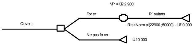 PALISADE TOPRANK 5.5 - Distributions de probabilités dans les nœuds - 2