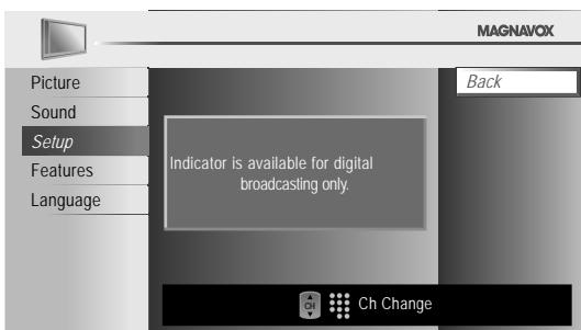 MAGNAVOX 22MF330B - Video - 1