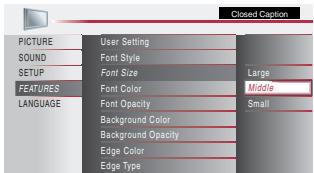 MAGNAVOX 22MF339B - Font Size - 1