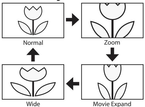 MAGNAVOX 22MF339B - Wide - 1