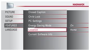 MAGNAVOX 22MF339B - Location - 5
