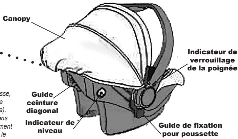 BAMBISOL SBI - Note pour l'utilisateur - 1