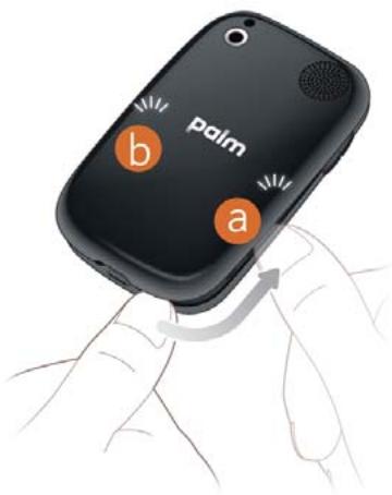 PALM PALM PRE 2 - Je n'arrive pas à retarder la coque arrière. - 2