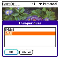PALMOME TREO 600 - Envoi d'une image - 1