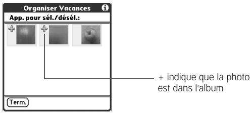 Organiser Vacances App. pour sél./désél.: + indique que la photo est dans l'album Term.