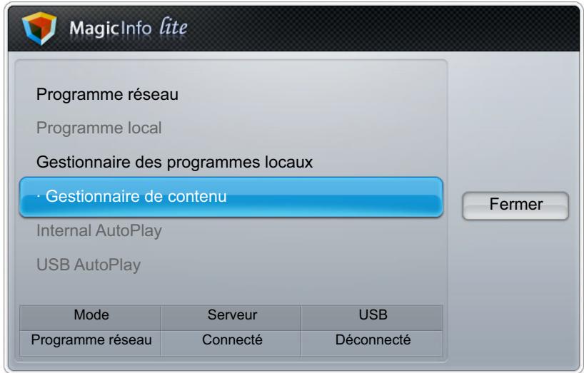 MagicInfo lite Programme réseau Programme local Gestionnaire des programmes locaux · Gestionnaire de contenu Internal AutoPlay USB AutoPlay Mode Serveur USB Programme réseau Connecté Déconnecté Fermer