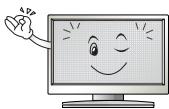 LG 32LH500D, 43LH500T - ATTENTIE - 25