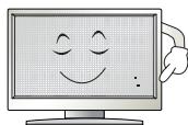 LG 32LH500D, 43LH500T - VORSICHT - 26