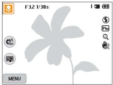 SAMSUNG WB250 - Mode scènes automatiques - 1