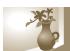 SAMSUNG PL 120 - Photographier du texte, des insectes ou des fleurs - 1