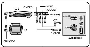 SAMSUNG SC-D305 - Playback - 1