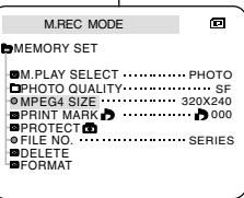 SAMSUNG SC-D305 - Selecting the moving picture sizes - 2
