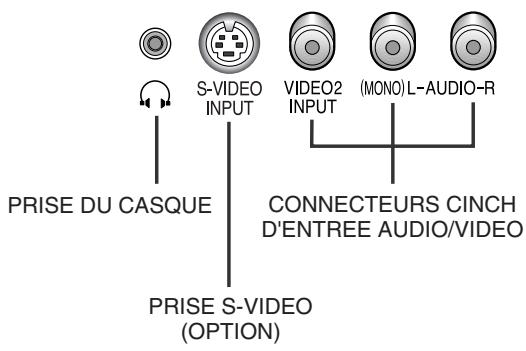 SAMSUNG 29M6 - Panneaux de connexion - 2