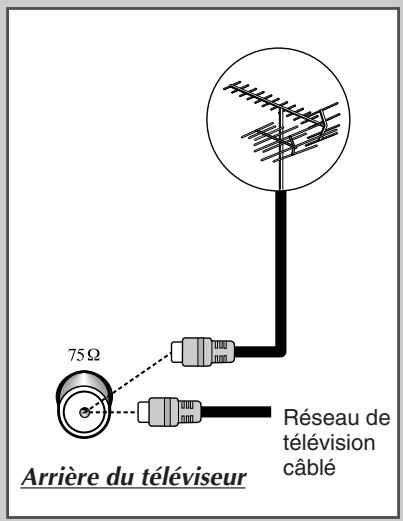 SAMSUNG 34A7 - Branchez l'antenne ou un réseau de télévision cable - 1