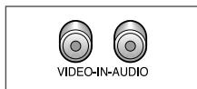 SAMSUNG CZ-21M163N - Raccorder les Entrées/Sorties des systèmes Audio/Video - 17