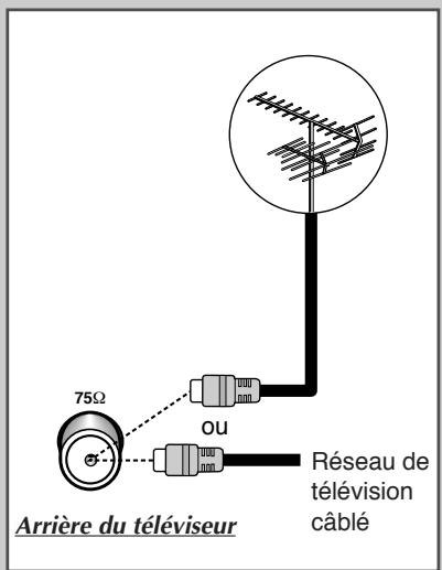 SAMSUNG CZ-21M163N - Branchez l'antenne ou un réseau de télévision cable - 1