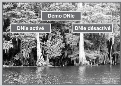 SAMSUNG SP-47Q1HE - DNle™ (Moteur d'images numériques d'aspect naturel) DNle™ - 3