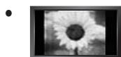 SAMSUNG LE19C431C4W - Precauciones al做不到 en la pantalla unaImagen fija - 1