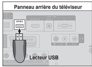 SAMSUNG LE19C431C4W - Mise à niveau du logiciel - 1