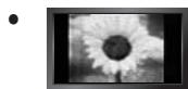SAMSUNG LE19C431C4W - Precautions When Displaying a Still Image - 1