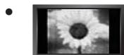 SAMSUNG LE40B651T3W - Précautions à prendre lors de l'affichage d'une image fixe - 1