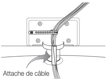 SAMSUNG LE40C550 - Assemblage des câbles - 1