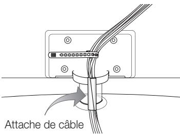 SAMSUNG LE40C652L2W - Assemblage des câbles - 1