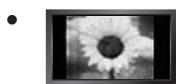 SAMSUNG LE46B650 - Precautions à prendre lors de l'affichage d'une image fixe - 1