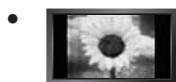 SAMSUNG LE46B750U1W - Precauciones al做不到 en la pantalla una imagen fija - 1