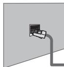 SAMSUNG LE46B750U1W - U kurz de LAN aansluten via een verdeler (router). - 1