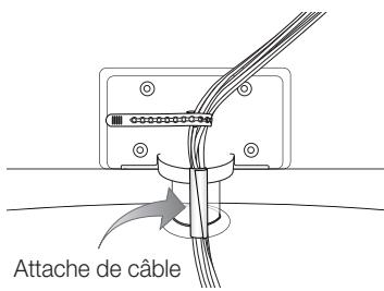 SAMSUNG LE46C650 - Assemblage des câbles - 1