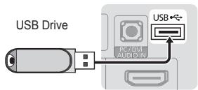 SAMSUNG LN26C350D1D - Connecting a USB Device - 1