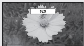 SAMSUNG LN40B540 - Black Tone  Off / Dark / Darker / Darkest - 3
