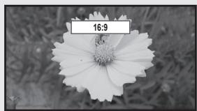 SAMSUNG LN40B610 - Size - 1