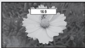 SAMSUNG LN46B550K1F - Tonalité noire → Off / Dark / Darker / Darkest - 3