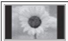SAMSUNG PN58B850Y1F - A still image displayed too long may cause permanent damage to the PDP Panel. - 1
