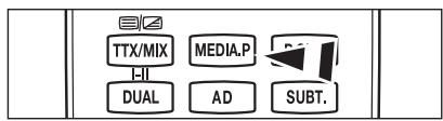TTX/MIX MEDIA.P DUAL AD SUBT.