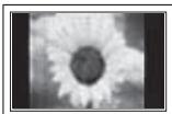 SAMSUNG PS50B550T4W - Une image fixe affichée trop longtemps peut causer des dommages permanents à l'écran à plasma. - 1